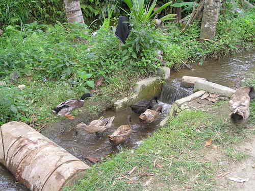 2005_indonesiatrip_311_2